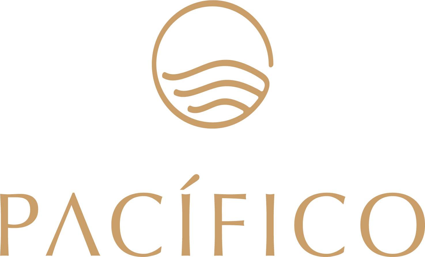 Inicio - Pacifico Studio